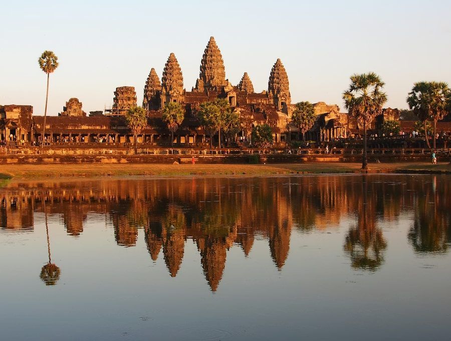Expert Guidance